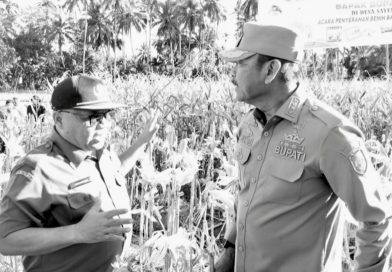 Ini Empat Sektor Prioritas APBD Madina Tahun 2026