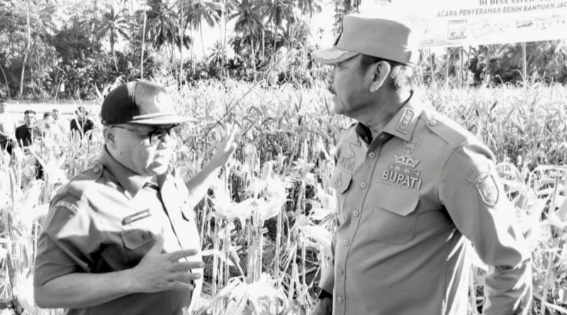 Ini Empat Sektor Prioritas APBD Madina Tahun 2026