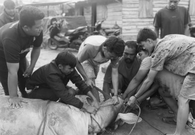 Sambut Ramadan, Kades Singengu Julu Bagikan Daging Sapi untuk Warga