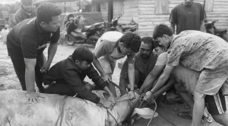 Sambut Ramadan, Kades Singengu Julu Bagikan Daging Sapi untuk Warga
