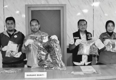 Hendak Jual Kulit Harimau, Dua Warga Ranjo Batu Ditangkap Polisi