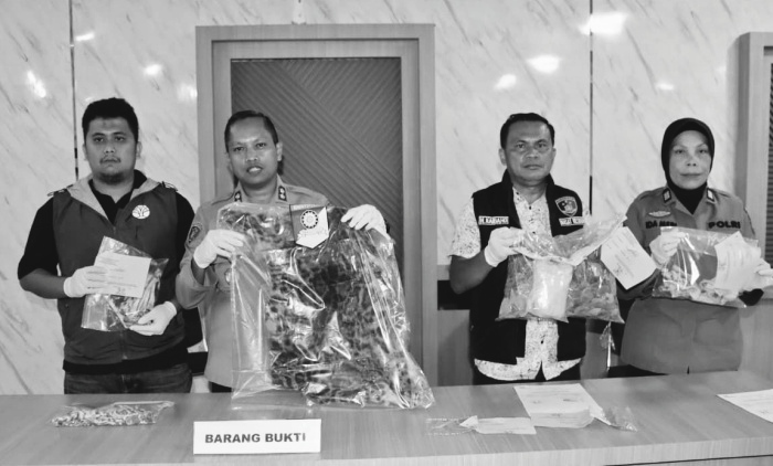 Hendak Jual Kulit Harimau, Dua Warga Ranjo Batu Ditangkap Polisi