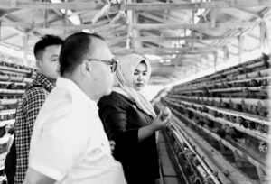 Wabup Atika Bawa Peternak ke Payakumbuh, Ini Targetnya